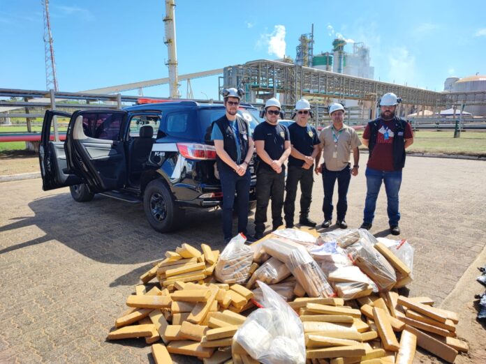 Polícia Civil realização incineração de quase meia tonelada de drogas em Três Lagoas