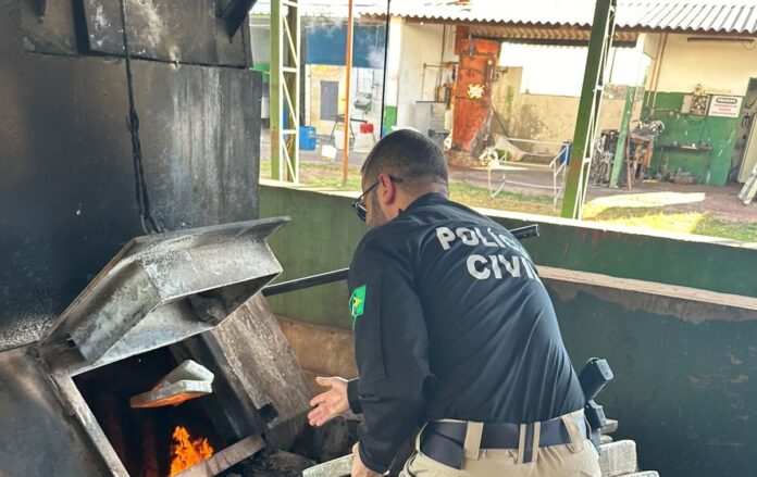 Polícia Civil incinera 1.600 kg de drogas em Dois Irmãos do Buriti