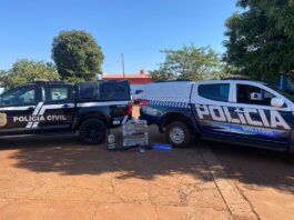 Polícias Civil e Militar encontram depósito de maconha em área rural de Rio Brilhante