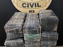 Polícia Civil apreende drogas em Mundo Novo e identifica adolescente infrator