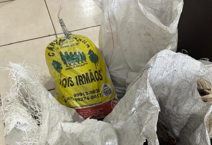 Polícia Civil prende autor de tráfico de drogas e receptação em Campo Grande