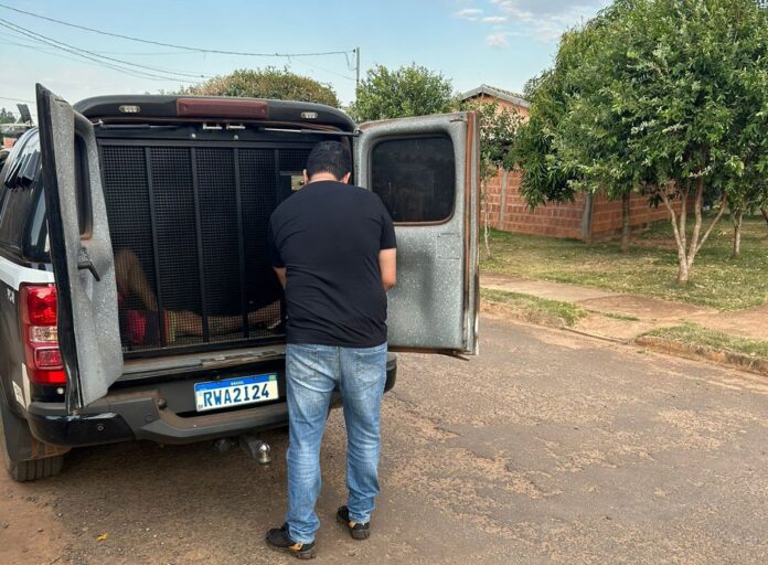 Polícia Civil prende autor de violência doméstica e furto em Caarapó