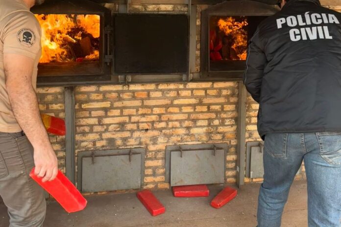 Polícia Civil realiza incineração de meia tonelada de maconha em Juti