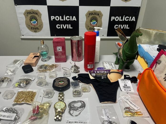 Polícia Civil prende autor de furto em Ribas do Rio Pardo