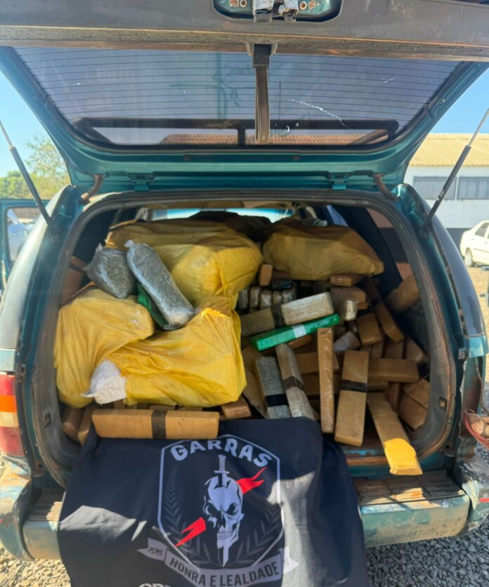 Polícia Civil prende em flagrante indivíduo que transportava 850 kgs de substância entorpecente análoga à maconha em Campo Grande