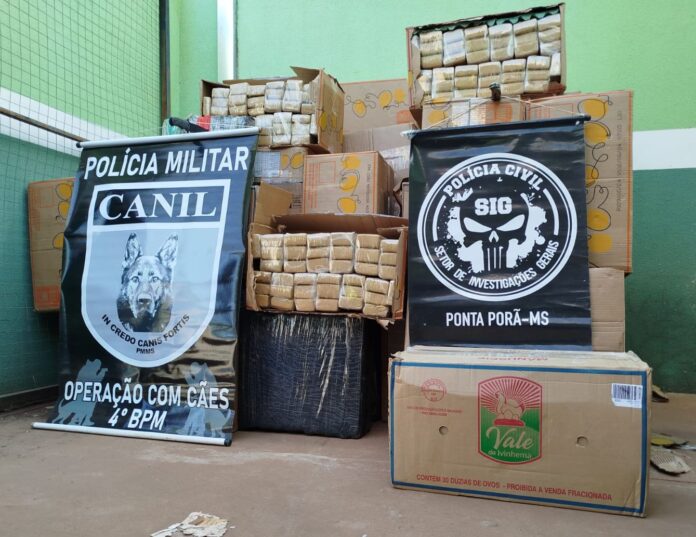Polícia Civil e Militar apreendem quase duas toneladas de maconha em Ponta Porã