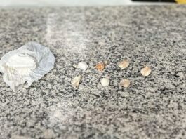Polícia Civil prende em flagrante um dos principais distribuidores de cocaína da região do Canaã I e jardim Piratininga em Dourados