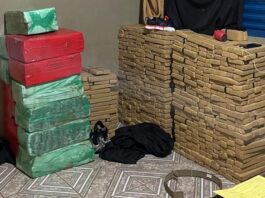 Polícia Civil realiza a maior apreensão de drogas da história do município, se considerado o tráfico interno, sendo apreendidos 850 kg de entorpecentes em Maracaju