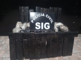 Polícia Civil apreende 200 kg de maconha em Nova Andradina