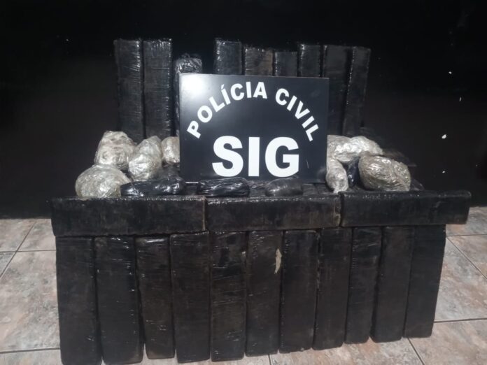 Polícia Civil apreende 200 kg de maconha em Nova Andradina