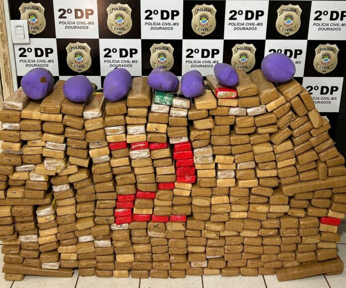 Polícia Civil prende dois homens por tráfico de drogas e apreende 315 kg de maconha em Dourados
