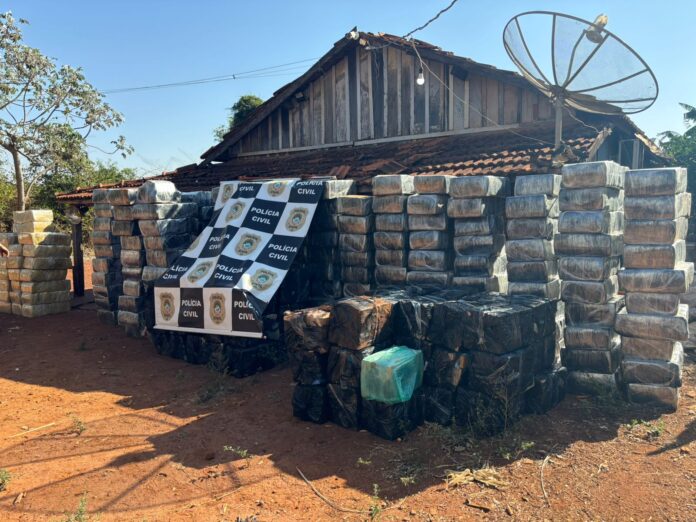 Polícia Civil realiza a maior apreensão de maconha da história de Itaporã e prende responsável pelo tráfico