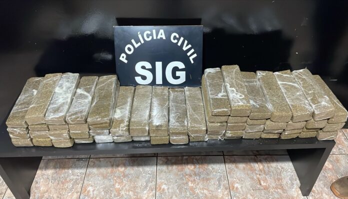 Polícia Civil prende dois homens por tráfico de drogas e associação, em Nova Andradina