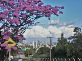 Semana tem avanços em habitação, obras e mobilidade – CGNotícias