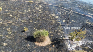 Cabo rompido pode ter iniciado incêndio em vegetação de fazenda Cabo rompido pode ter iniciado incêndio em vegetação de fazenda