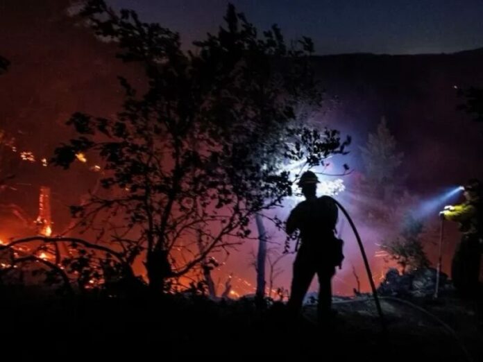 AGORA: Avião cai e deixa 4 mortos em fazenda de Aquidauana
