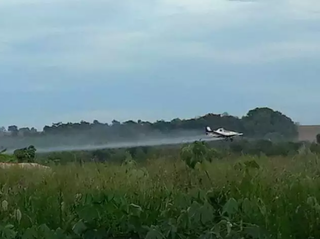 Cercada pela soja, aldeia tem agrot&oacute;xico na &aacute;gua de beber, da chuva e nascentes 