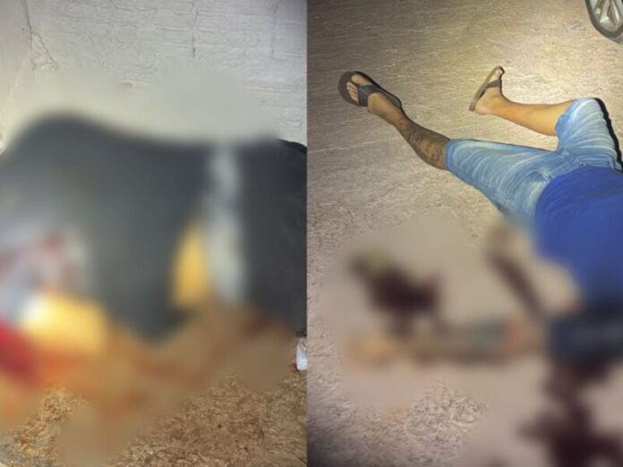Delegada descarta assalto e diz que duplo homicídio no Danúbio Azul foi execução