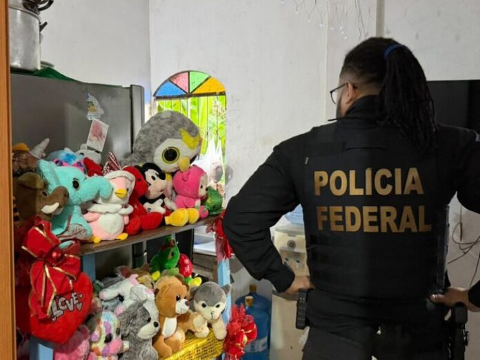 Operação mira pedófilos e PF cumpre mandados em MS e mais 15 estados