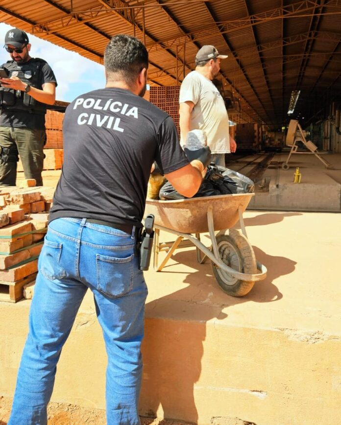 Polícia Civil incinera mais de 145kg de entorpecentes em Rio Verde de Mato Grosso