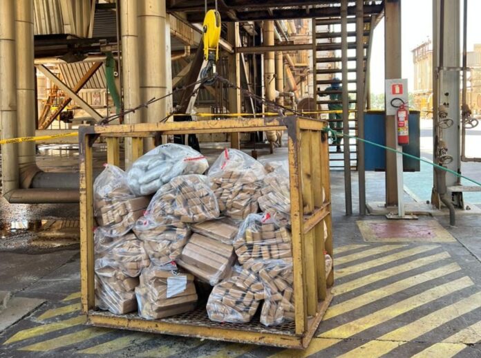 Polícia Civil incinera mais de uma tonelada de drogas em Ivinhema