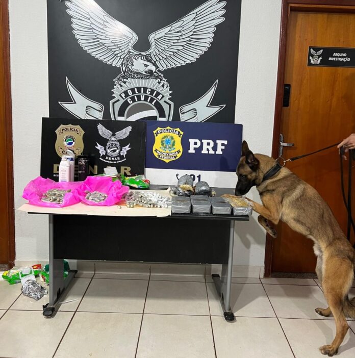 Polícia Civil apreende quase 3 kg de cocaína em ônibus vindo da fronteira durante a Operação Faro