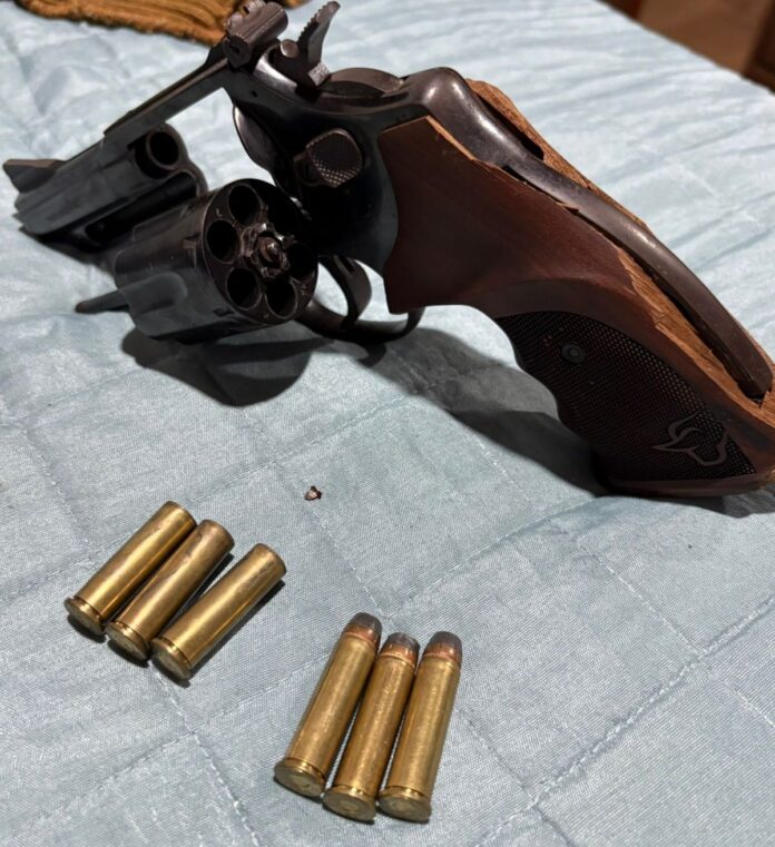 Polícia Civil apreende armas de fogo e munição em Nova Andradina