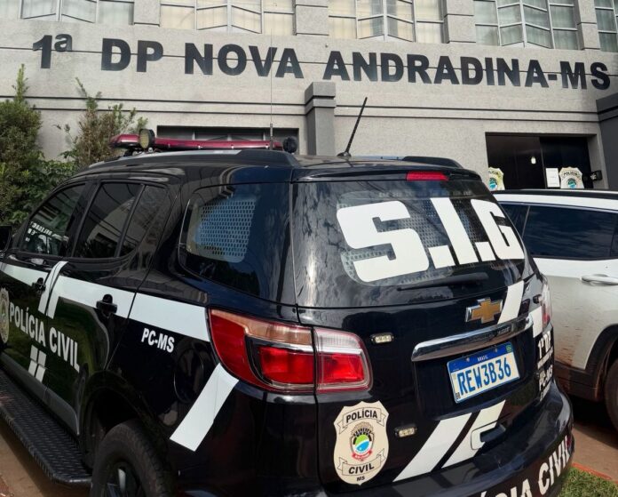 Polícia Civil cumpre mandado de prisão preventiva de autor de série de furtos no Distrito de Nova Casa Verde