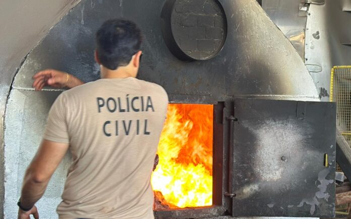 Polícia Civil do Mato Grosso do Sul incinera mais de 84 toneladas de drogas durante a operação Codesul II