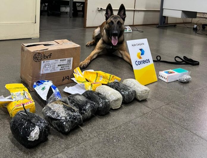 Polícia Civil intercepta encomendas com mais de 2,3 kg de drogas durante operação em parceria com os Correios