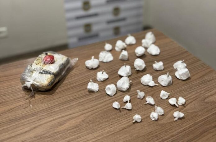 Polícia Civil apreende cocaína e haxixe em Chapadão do Sul