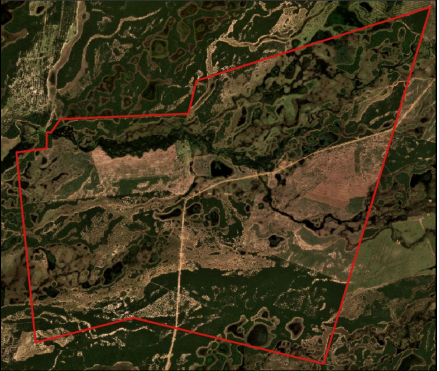 Área declarada referente a fazenda Dom Bosco