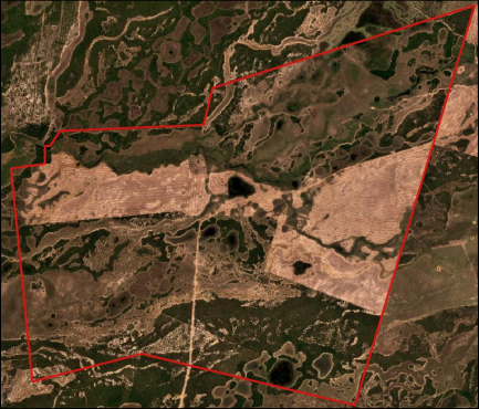 Área declarada referente a fazenda Dom Bosco