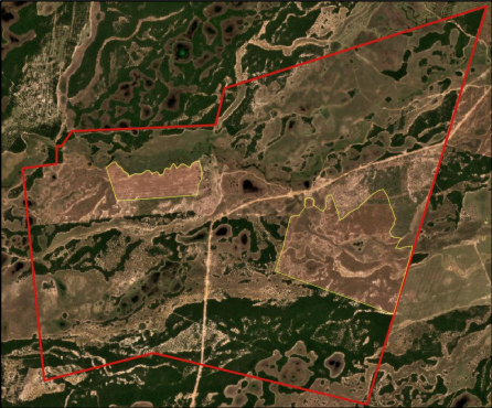 Área declarada referente a fazenda Dom Bosco