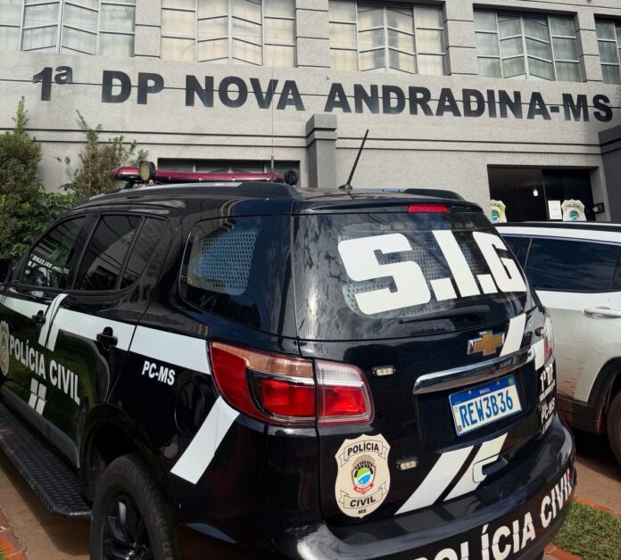Autor de diversos furtos é preso pela Polícia Civil em Nova Andradina