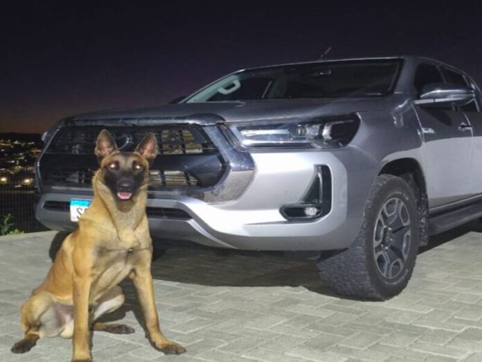 Hilux de mais de R$ 300 mil, fruto de estelionato, é recuperada pela Polícia Civil