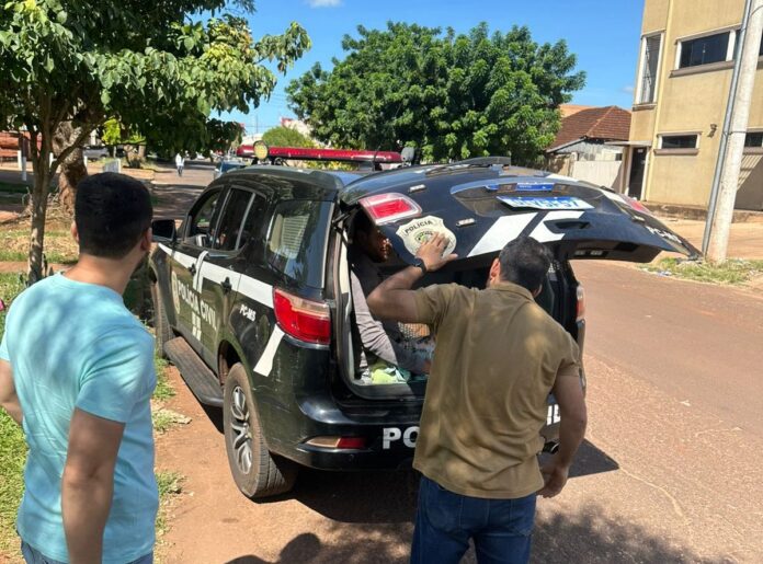 Polícia Civil cumpre três mandados de prisão em Ponta Porã
