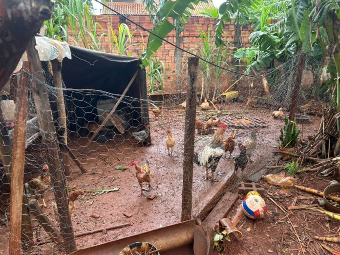 Polícia Civil prende homem por poluição ambiental em Campo Grande