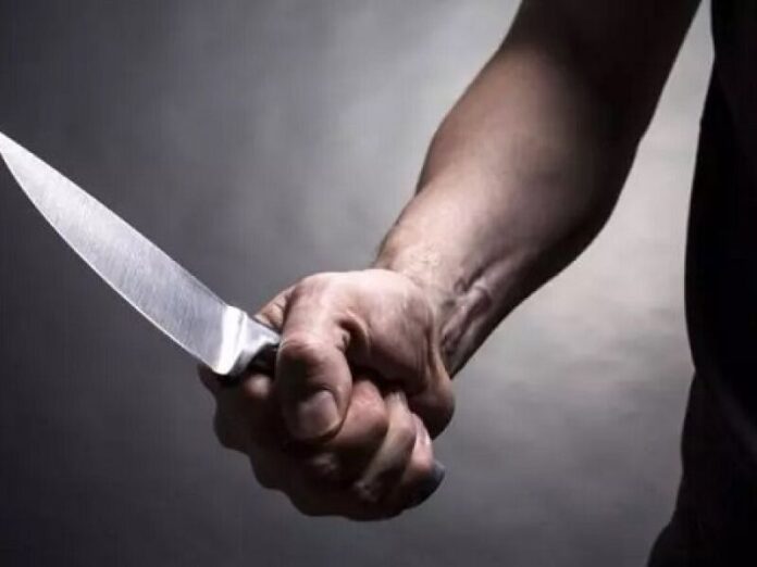 Homem mata cachorro a facadas após ser atacado em Jardim