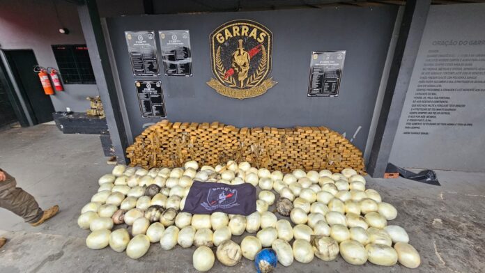 Polícia Civil apreende quase uma tonelada entorpecente e prende 5 pessoas em flagrante em uma das maiores apreensões de cloridrato de cocaína