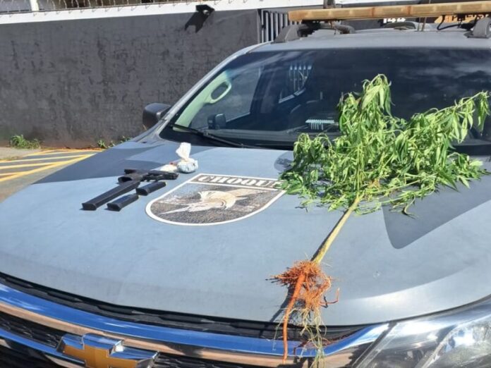 Choque prende homem com pé de maconha e pistola em casa no Tijuca