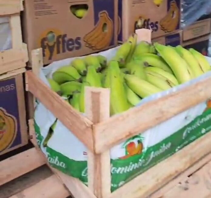 Polícia Civil prende acusado de furtar frutas de empresa e revende-las, em Campo Grande