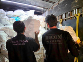 Operação em Campo Grande apreende mais de 4,3 mil tênis falsificados