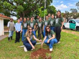 Plantio no Parque Municipal Água Limpa abre caminho para novo ponto de observação de aves – CGNotícias