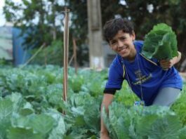 Estudantes da Reme aprendem sobre sustentabilidade na UTA – CGNotícias
