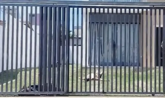 Brasileiros são mortos a tiros por pistoleiros na Bolívia