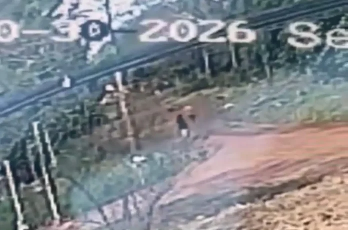 Imagens flagraram estuprador fugindo em área de mata no Universitário; assista