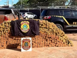 PF apreende mais de 1,8 tonelada de maconha em residência de Três Lagoas PF apreende mais de 1,8 tonelada de maconha em residência de Três Lagoas